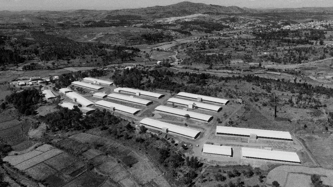 finance & immobilier